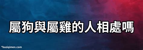 屬雞跟屬狗|屬雞和屬狗的相配嗎